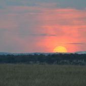  The Serengeti, TZ